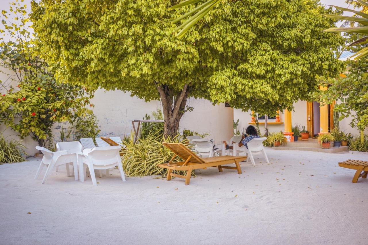 Summer Vibes Beach Front Rasdhoo Bagian luar foto